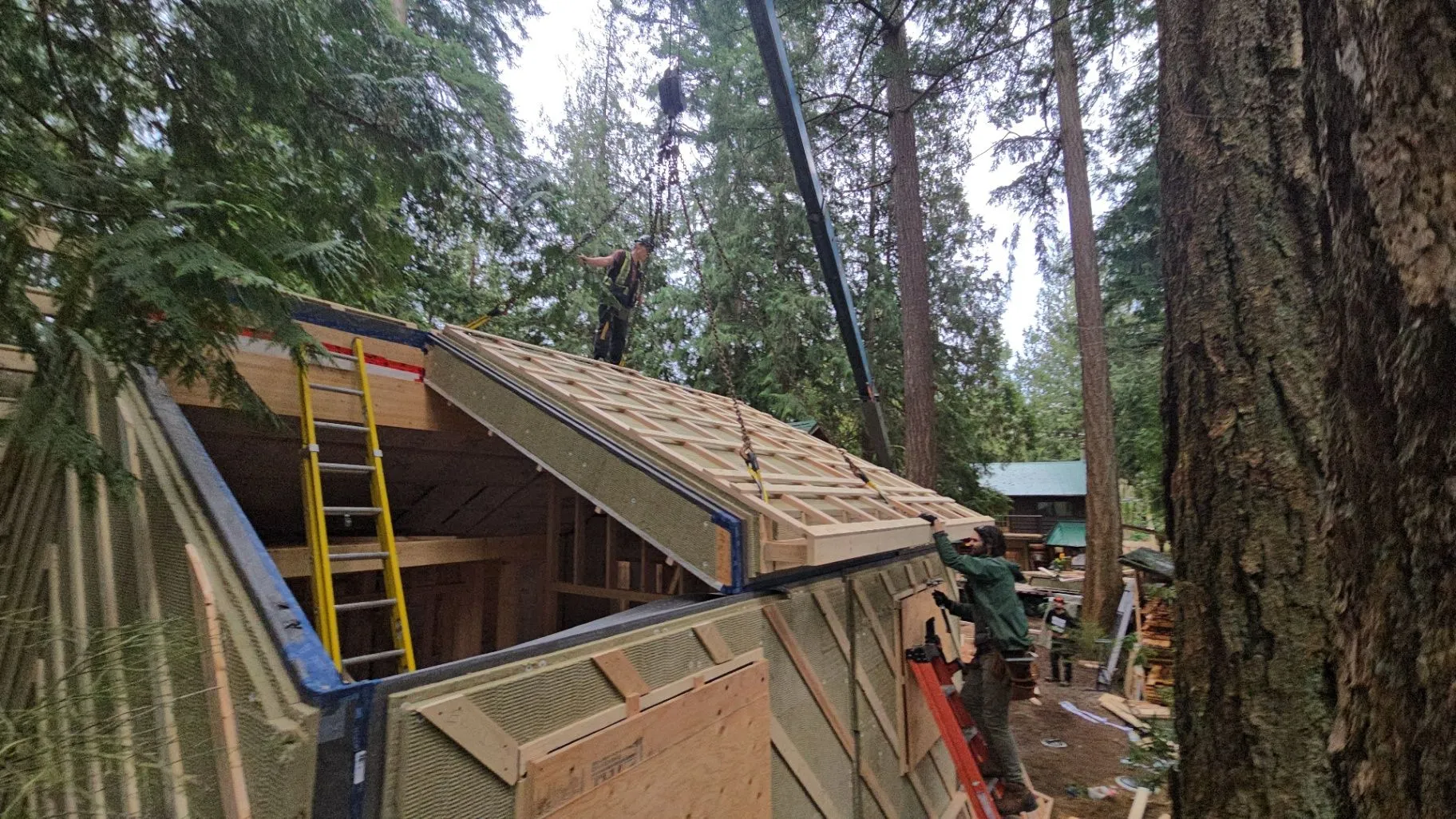 Roof panels being placed on a timber-framed structure at a wooded site.